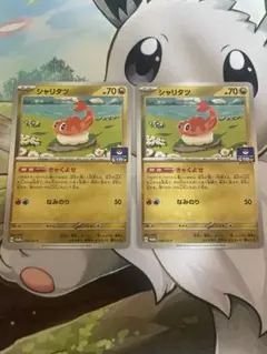 ジムプロモ　シャリタツ　2枚