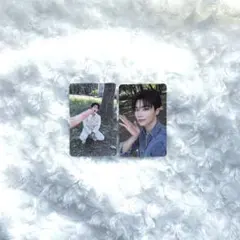 ゼベワン NEVER SAY NEVER トレカ ✰ ゴヌク メテュセット