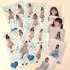 日向坂46 ファイル&写真セット