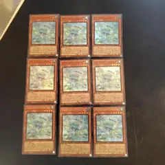 マルチャミープルリア 9枚セット