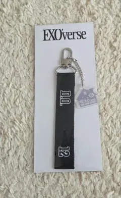 EXO ディオ D.O. 2025ファンミ 公式グッズ ネームタグ