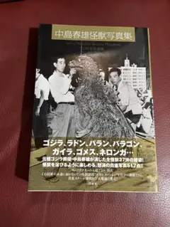 2026年最新】中島_春雄の人気アイテム - メルカリ