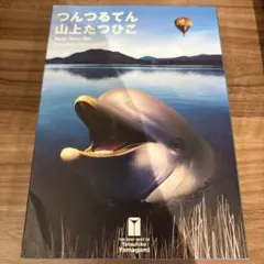 Item thumbnail for item 5d1f3088-eed3-4529-9ab6-e3810637521b