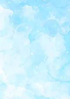 うさぎたま様専用