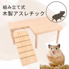 Item thumbnail for item d1257468-ad00-4d48-9256-68aa42afd02f