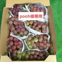 1️⃣ 山梨県産 クイーンニーナ 6房入り 箱込5.8キロ - メルカリ