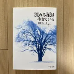 流れる星は生きている 藤原てい著