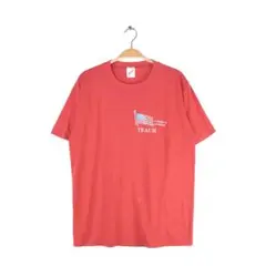 90s アメリカ旗 星条旗 USA製 ヴィンテージTシャツ シングルステッチ L