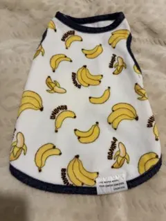 Item thumbnail for item c0f11faf-f1ff-4e6c-b388-c98f3a07a5a2