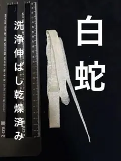 Item thumbnail for item cfb5110a-47f6-4bc8-9f71-faa5043697dc