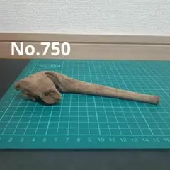 新品未使用　天然ミニ流木　No.750　 アクアリウム　爬虫類　両生類のサムネイル