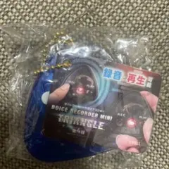 Item thumbnail for item 7a3b0d54-353e-4f63-bb42-9f7cc6693ab8