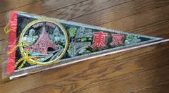 Item thumbnail for item 151ea8a4-f9a5-4571-82ea-aec7e75dd5e5