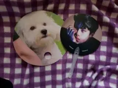 EXO セフン　うちわset