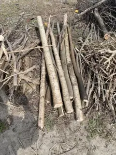 Item thumbnail for item 999b9783-aa79-4b2e-b276-0b4de732f370