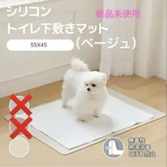 Item thumbnail for item 8f1a2990-a6a5-44c2-93ff-6ca090b68ee5