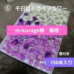 m-kurage様 リクエスト 3点 まとめ商品