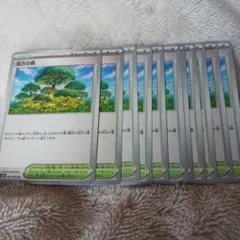 ポケモンカード トレーナーカード 活力の森 11枚セット