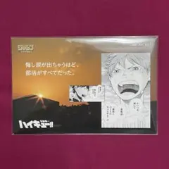 【非売品】ハイキュー!! セイシュンモーメントイラストカード 日向 影山