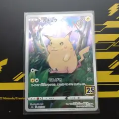 ピカチュウ s8a_001/028 25th