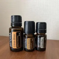 1本売りから　doTERRA コパイバ　3本セット 2026年最新】ドテラ コパイバの人気アイテム - メルカリ