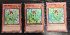 遊戯王　ナチュルローズウィップ　3枚　DT04 遊戯王 ナチュルローズウィップ DT04 - メルカリ