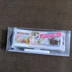 デコチョコ　DECOチョコ　パノラマケース