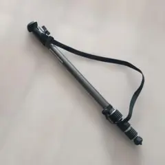 Item thumbnail for item 05d69b57-e82d-4372-b92f-7a477a969428