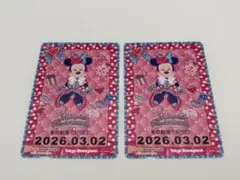 ディズニー リゾラ パルパルーザ ミニー ファンダーランド フリーきっぷ