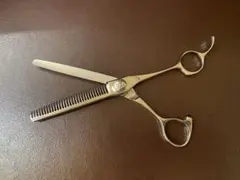 Item thumbnail for item e6d09972-17ba-4593-80cc-5129d276fd0d