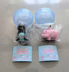 天王寺動物園　限定　サンリオコラボ　はぴだんぶい　ポチャッコ　ハンギョドン