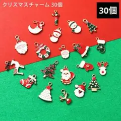 1462) 30個 カン付き クリスマス チャーム ジルコニア ミックス パーツ
