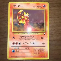 カナリア@まとめ買い受付中様 リクエスト 2点 まとめ商品