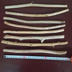 Item thumbnail for item 21bb617f-be56-4c36-8467-d42da0d6efdd