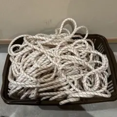 Item thumbnail for item 0b49cd20-d6c5-452f-a326-f877568f8171