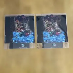 劇場版　鬼滅の刃　無限城編　第一章　猗窩座再来　入場者特典　新品未開封　2つ