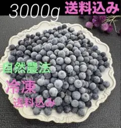 ハニー農園　冷凍ブルーベリー ３キロ ハニー農園 自然農法 冷凍ブルーベリー 3000g - メルカリ