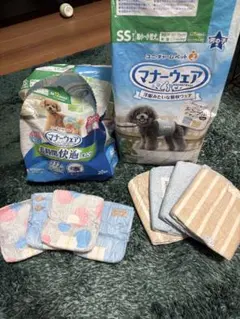 Item thumbnail for item a8cdefcb-71ff-4374-8f53-e1a3d251499c