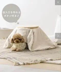 Item thumbnail for item 3505611b-716a-464f-8593-aed4bf53f4ce