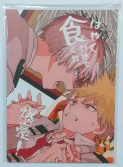 僕のヒーローアカデミア同人誌 轟爆