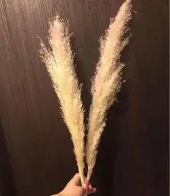 fp101様 リクエスト 2点 まとめ商品