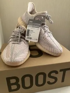 adidas Yeezy Boost 350 V2 