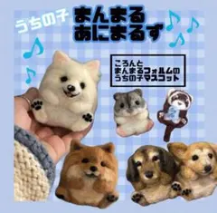ちまっとあにまるず うちの子オーダー 羊毛フェルト ペット マスコット