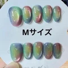 【セツ】ニュアンス　マグネット　現品ネイルチップ　付け爪(F453)
