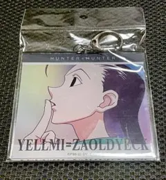 HUNTER×HUNTER BIGアクリルキーホルダー　イルミ　Ani-Art