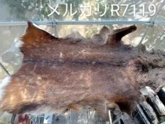 Item thumbnail for item ad94f976-2507-49a0-8eae-217e058a04fb