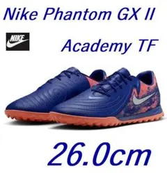 Item thumbnail for item 44b6e3d0-89bb-417a-b6fb-e3089549ac10