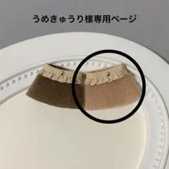 うめきゅうり様専用ページ