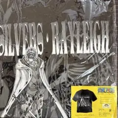 【匿名配送】ワンピース　レイリー　半袖 Tシャツ 黒　フリーサイズ