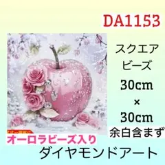 DA1153☆ダイヤモンドアートキット☆雪リンゴ